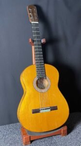 cedro_cipres_2024_1