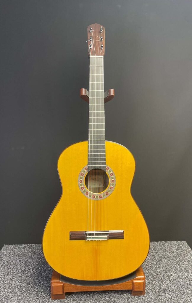 pino_majagua_1